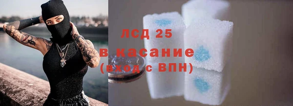 ГАЛЛЮЦИНОГЕННЫЕ ГРИБЫ Лиски