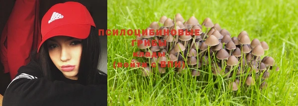 ГАЛЛЮЦИНОГЕННЫЕ ГРИБЫ Лиски