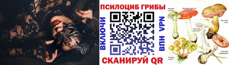 Псилоцибиновые грибы мицелий Серафимович