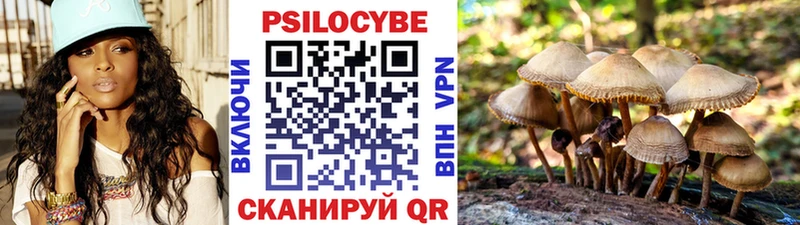 Галлюциногенные грибы ЛСД  где купить   Серафимович 